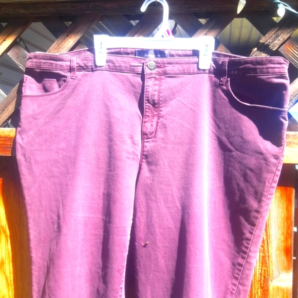 Reitman's Purple Jean's - Picture 3 of 6